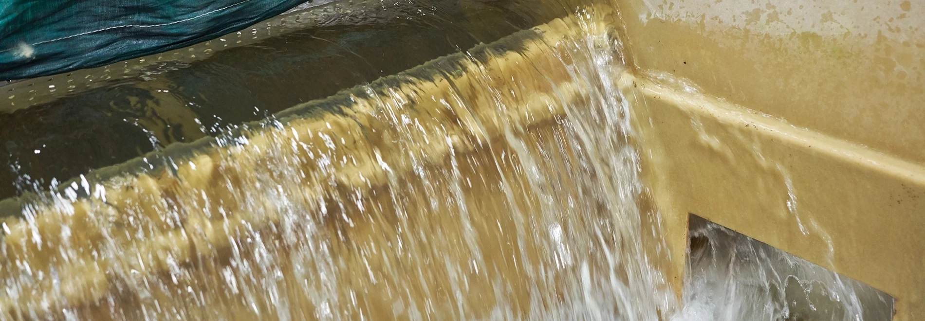 Definitely Not a "Pump and Dump" Understanding Our Water Flow AquaBounty